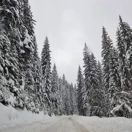 Ed Jahorina